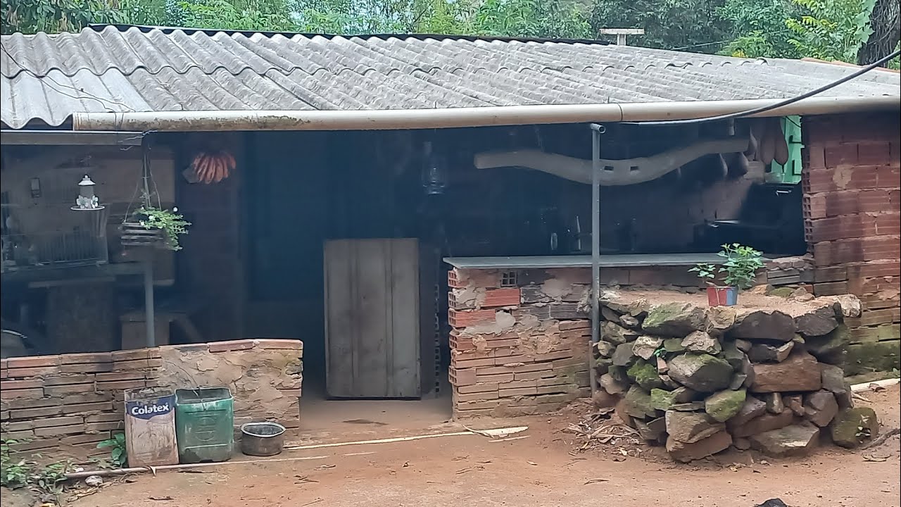 O CANTO DAS JAO PRÓXIMO DA MINHA CABANA 