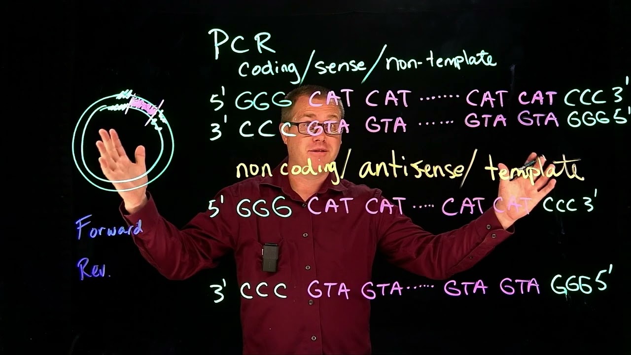 PCR