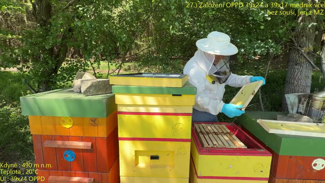 27.) 25 - 14 05 2025 - Založení OPPD 39x24, medník včel 39x17 bez souší, jen z mezistěn