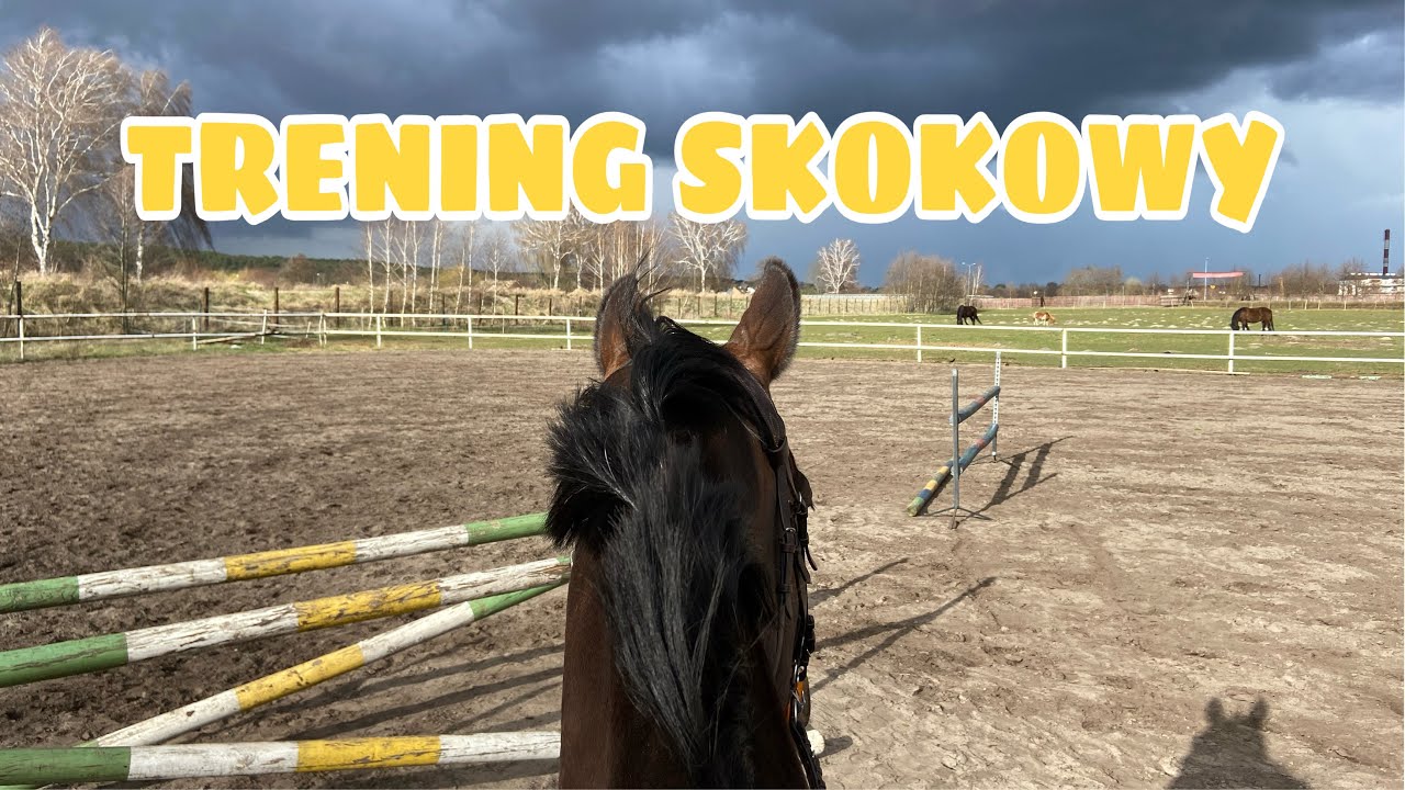 STAJENNY VLOG #21 | TRENING SKOKOWY | DILA TO MAŁPA🍌