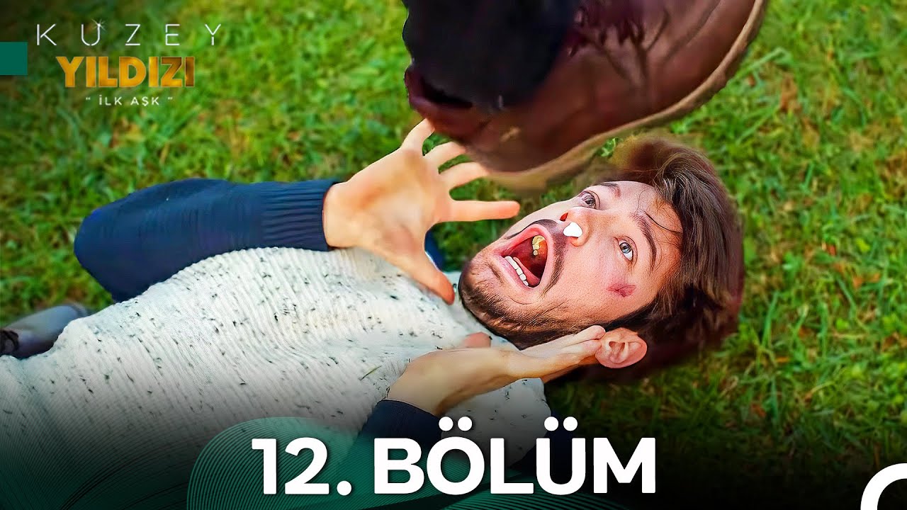 Kuzey Yıldızı İlk Aşk 12. Bölüm