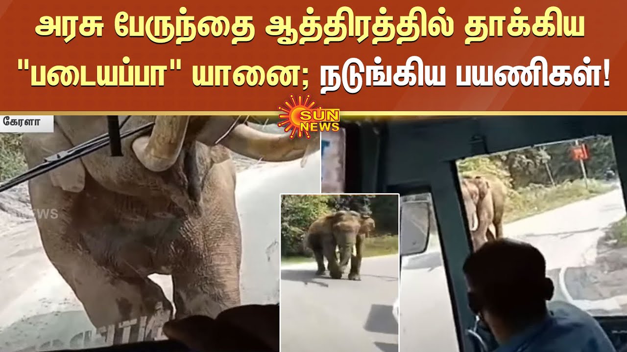 அரசு பேருந்தை ஆத்திரத்தில் தாக்கிய "படையப்பா" யானை; நடுங்கிய பயணிகள்! | 