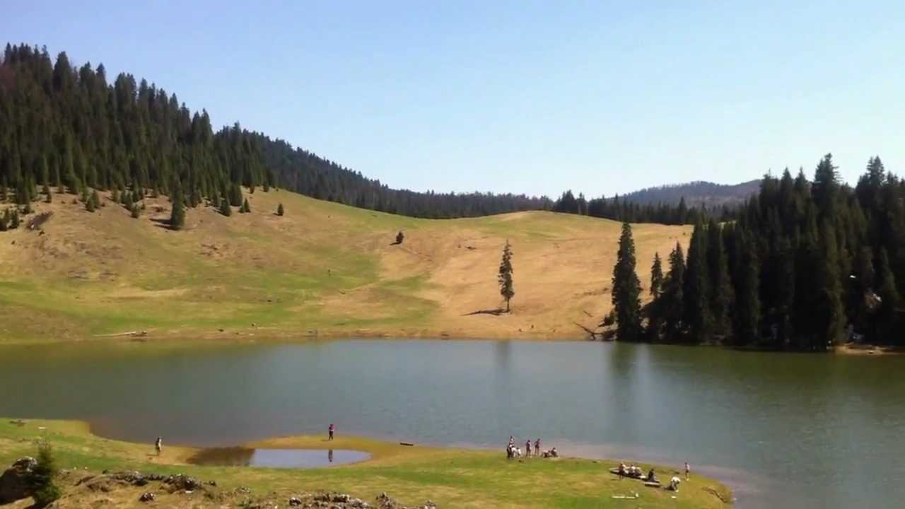 Poiana Ponor, Glavoi, Padis - www.tarabeiusului.ro.MOV