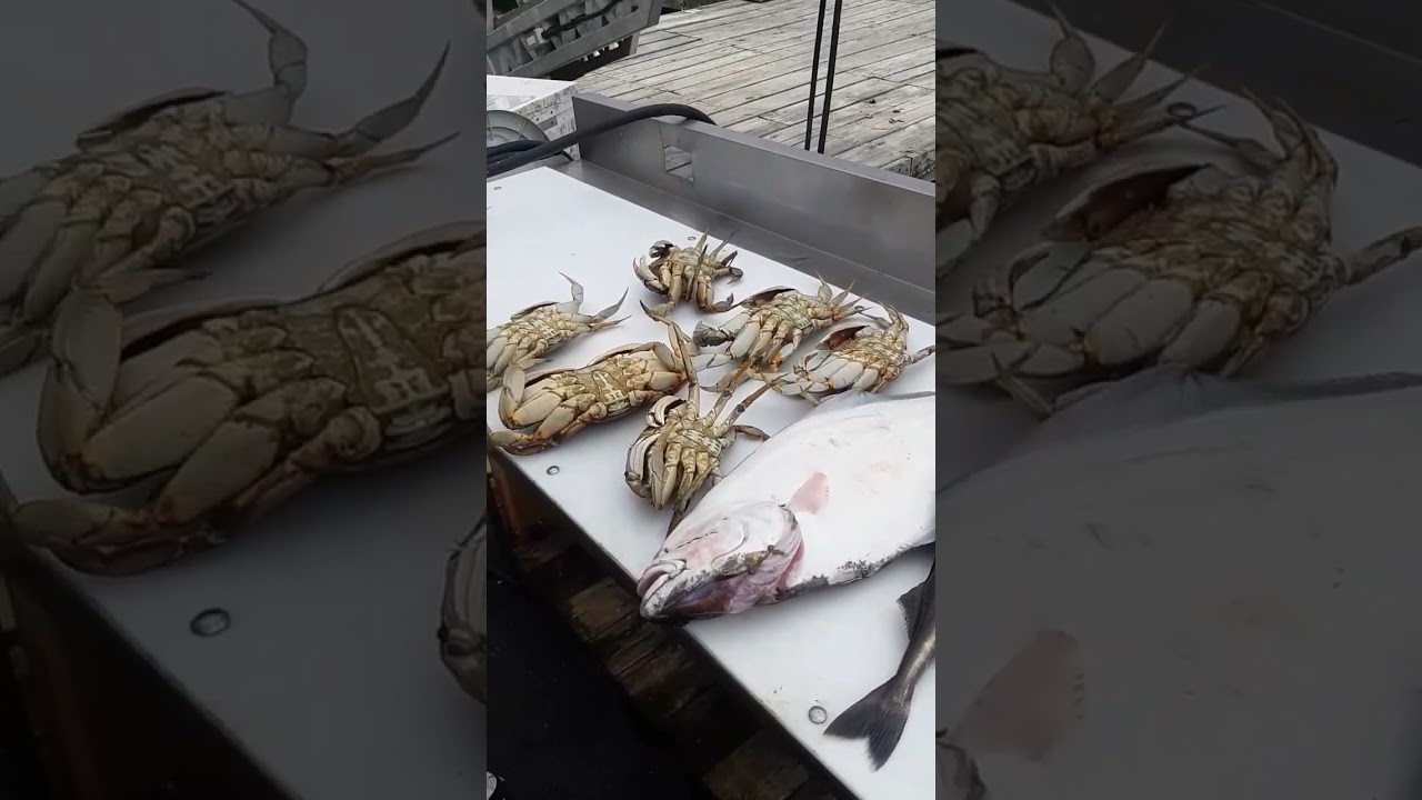 Bottom fishing in Sooke