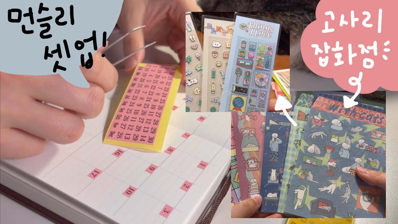 ⋆⁺₊⋆옥토 포켈 에세테라 다이어리 먼슬리 셋업 | 🌿고사리잡화점 소소한 하울٩꒰｡•◡•｡꒱۶