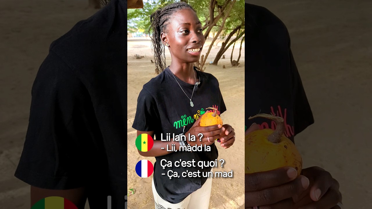 15 questions de base en wolof ! 🇸🇳
