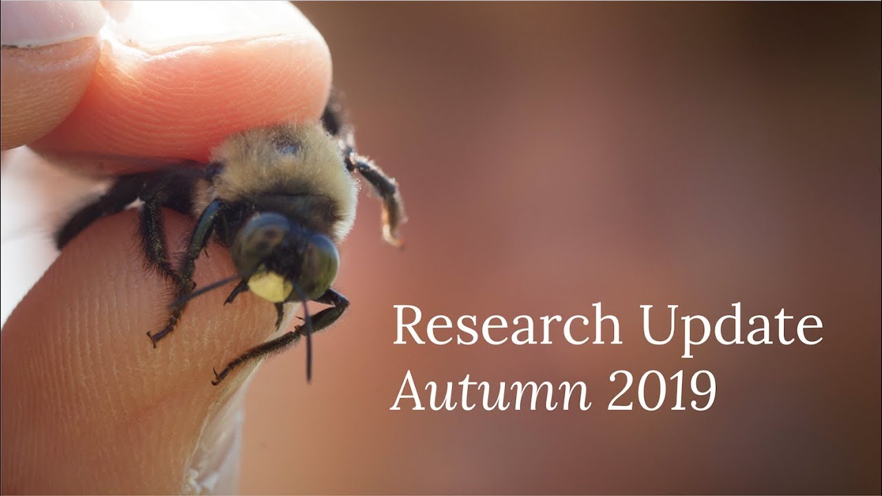 Research Update Fall 2019