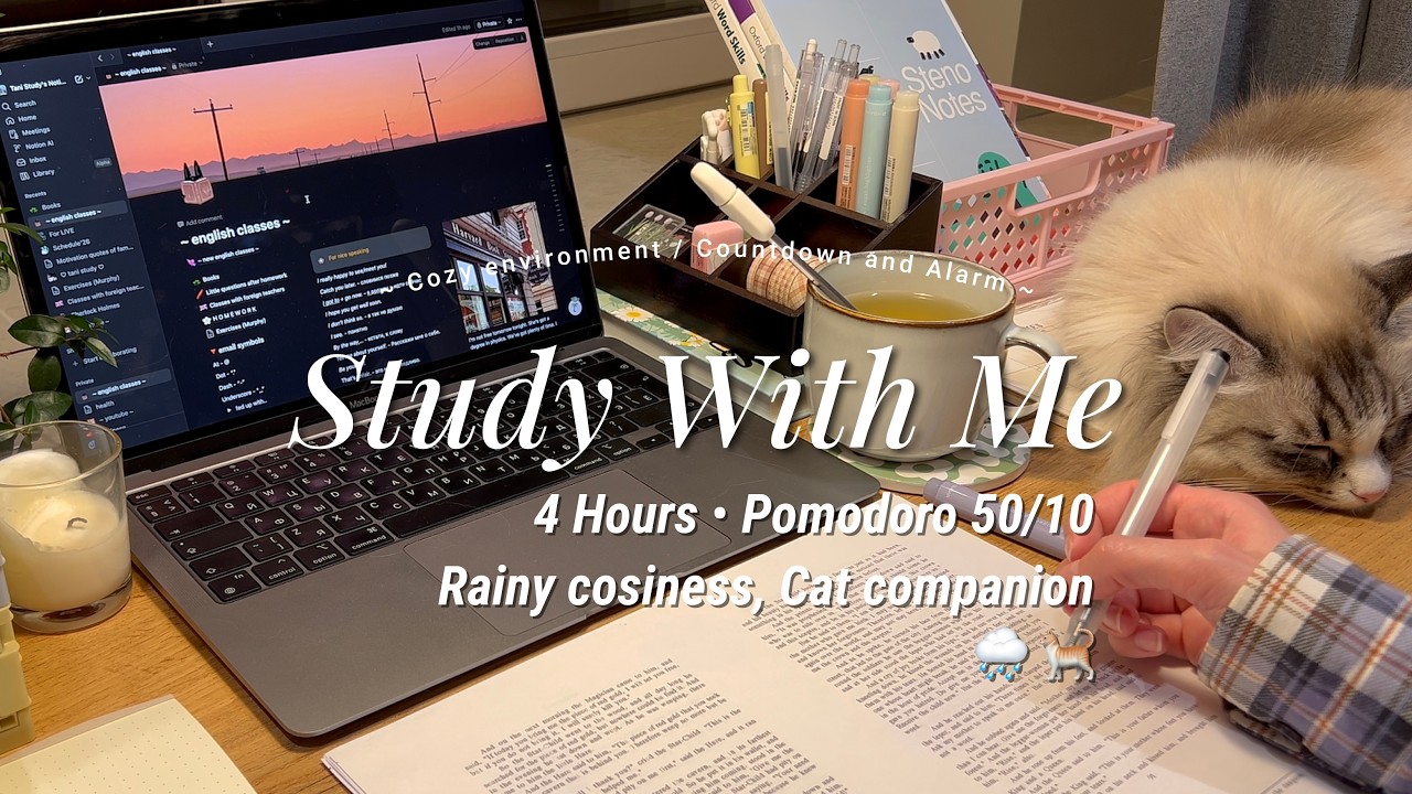 4-HOUR STUDY WITH ME | cozy evening ☕️ cat companion, pomodoro timer