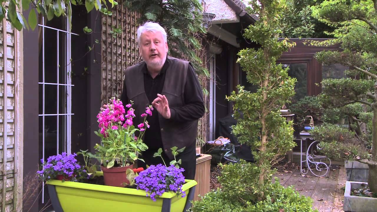 COMMENT COMPOSER UNE JARDINIÈRE FLEURIE DE PRINTEMPS