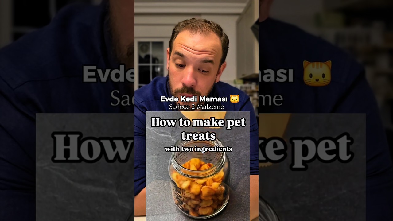 Evde Kedi Maması 🐱 #recipe #shorts