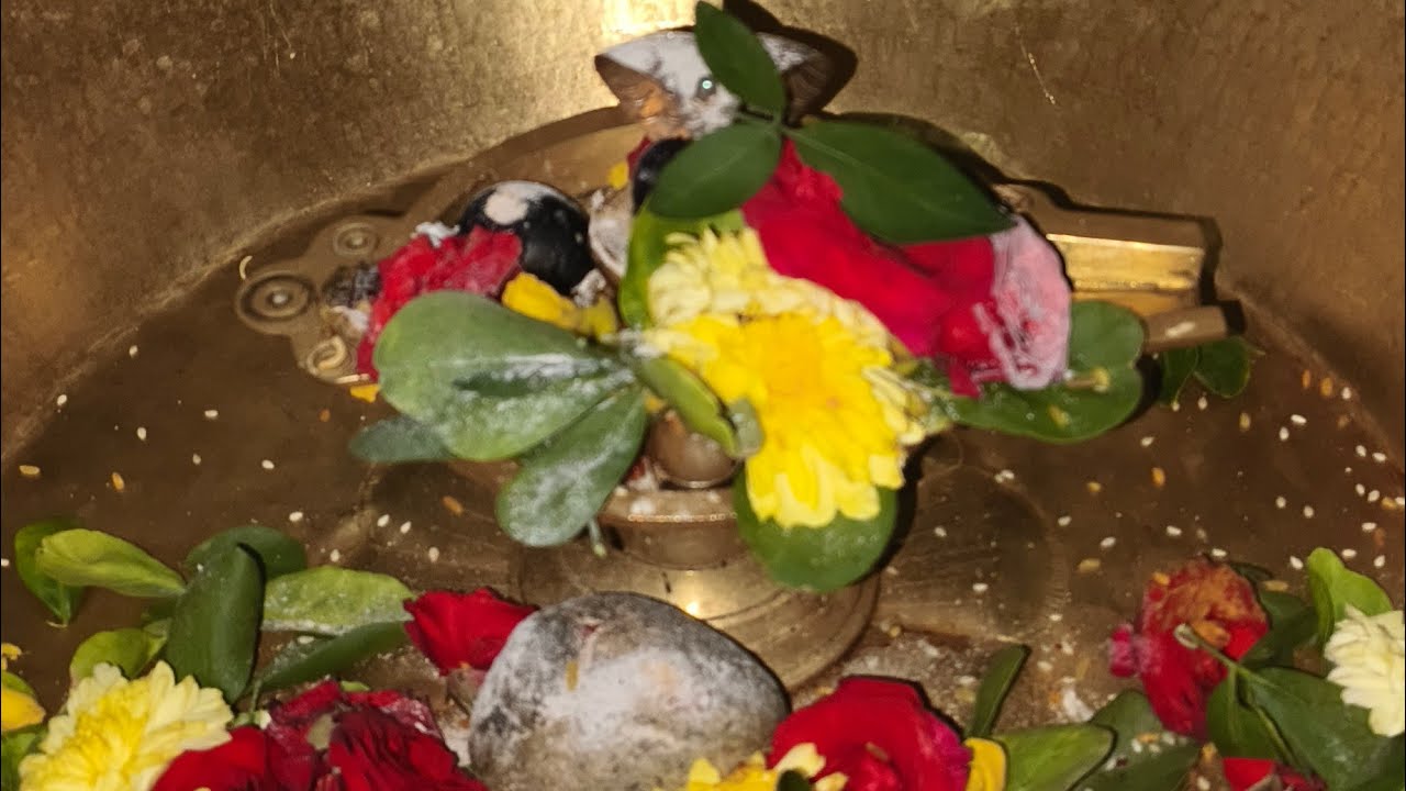 Maha Rudrabhishekam(15-02-2026)