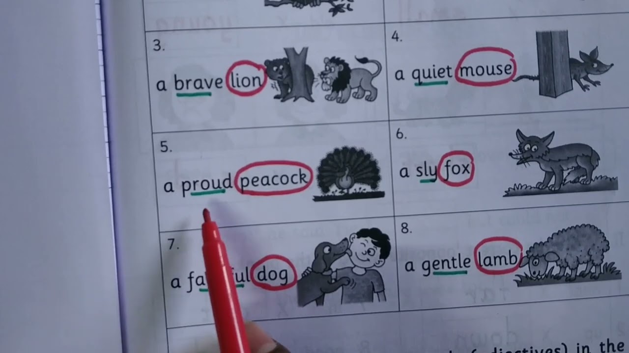 Navneet Holiday Book 1|Grammar Page no.29,30,31 and 32