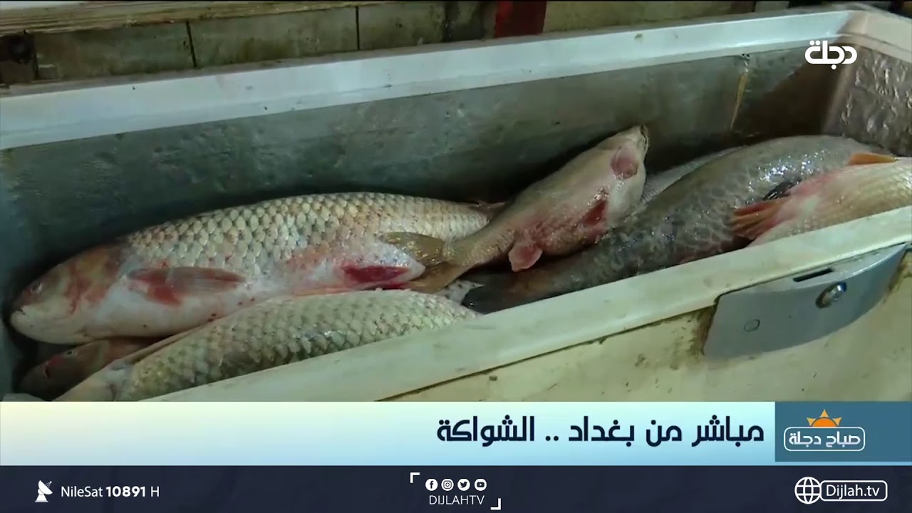 مباشر من بغداد 