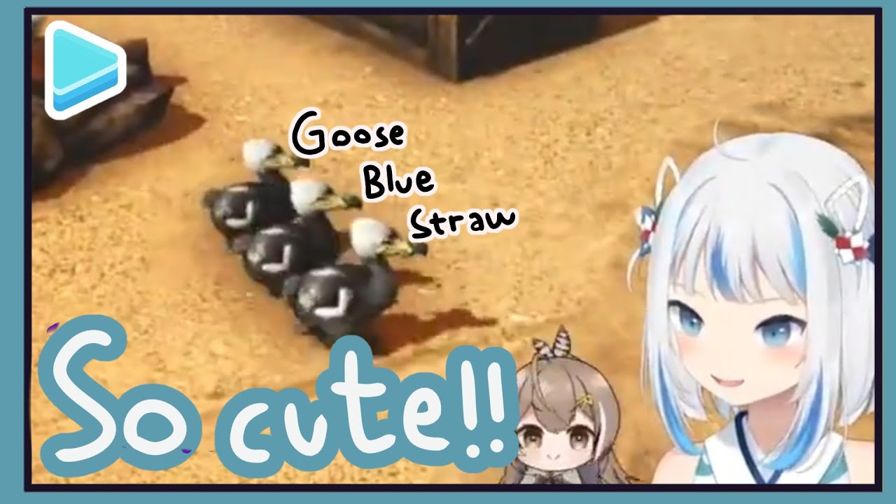 Gura and 3 poor baby Dodo..『Gawr Gura』(ft. Mumei)