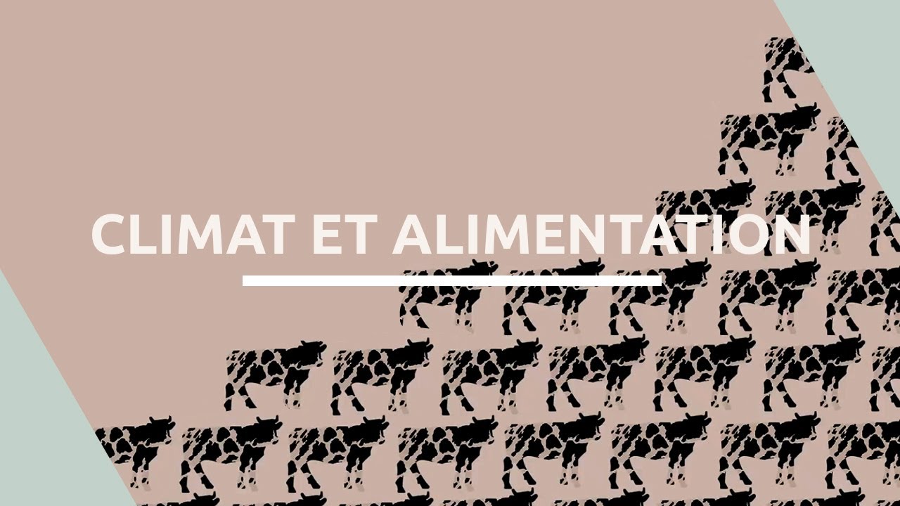 On est cuits ? | Alimentation, on change tout ? | Ep.4