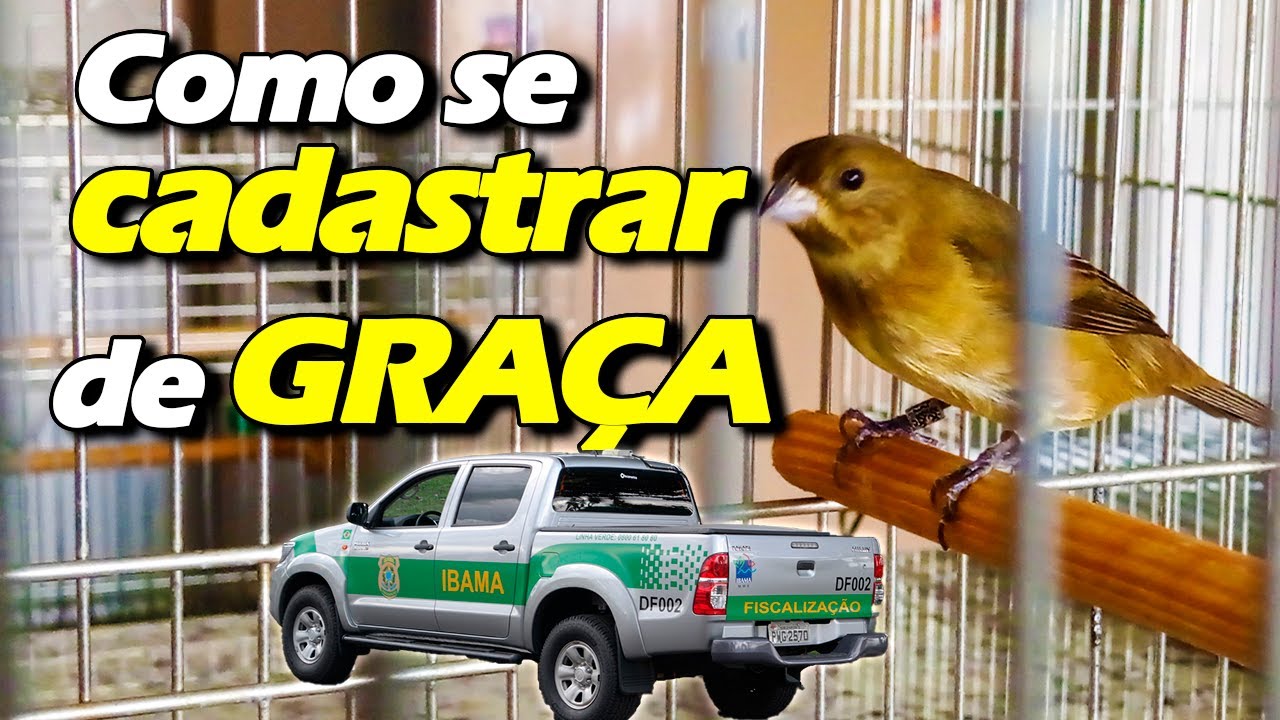 Como se cadastrar DE GRAÇA no Ibama 2021 sispass e homologar em SP