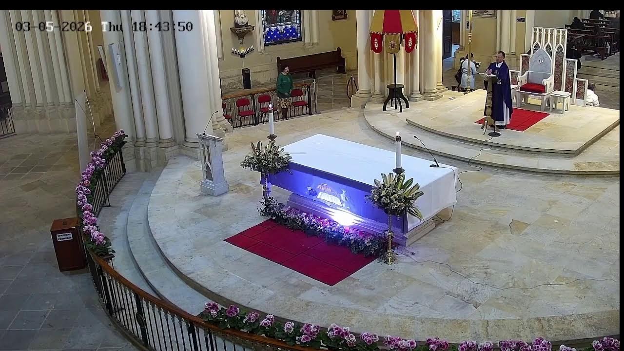 Transmisión Eucaristía Basílica de Lourdes   2024