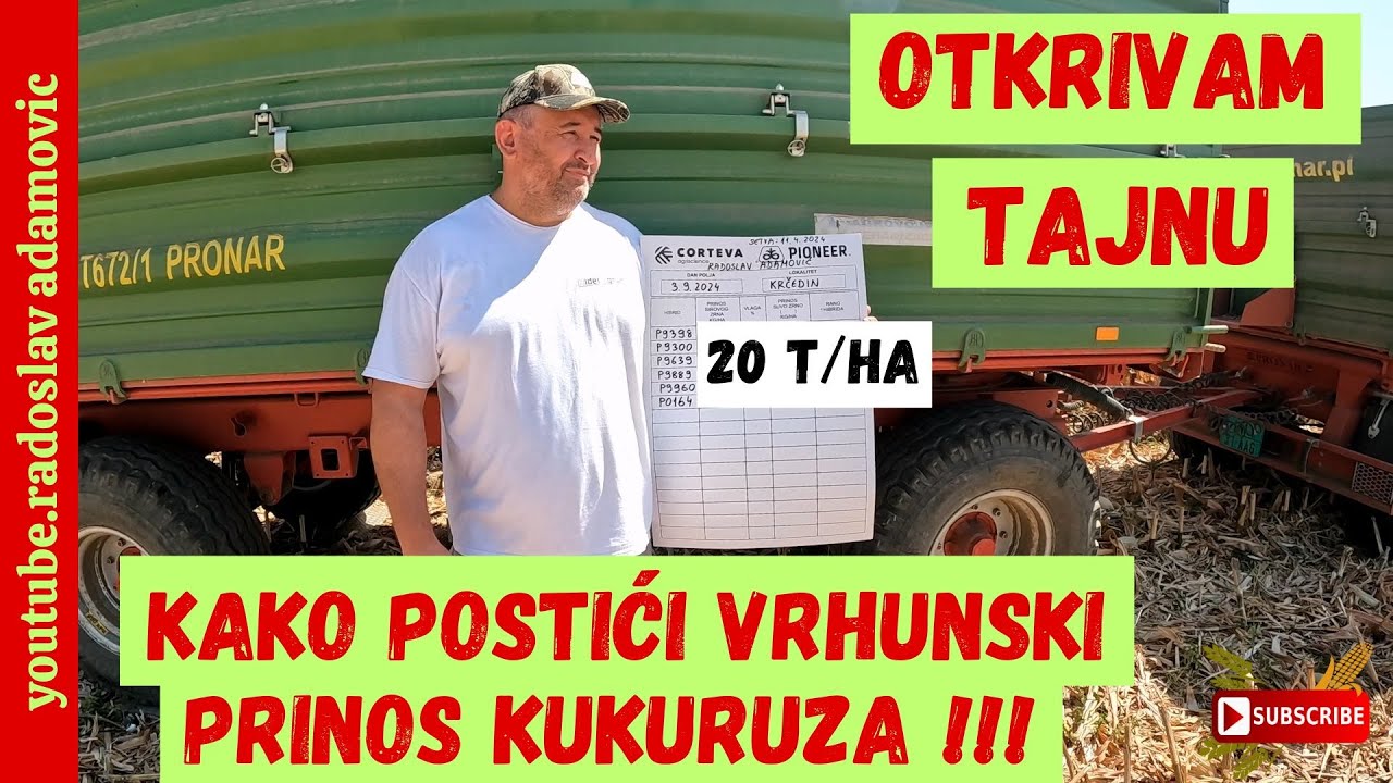 OTKRIVAM TAJNU: KAKO POSTIĆI VRHUNSKI PRINOS KUKURUZA? ; THE SECRET OF GOOD MAIZE YIELDS!