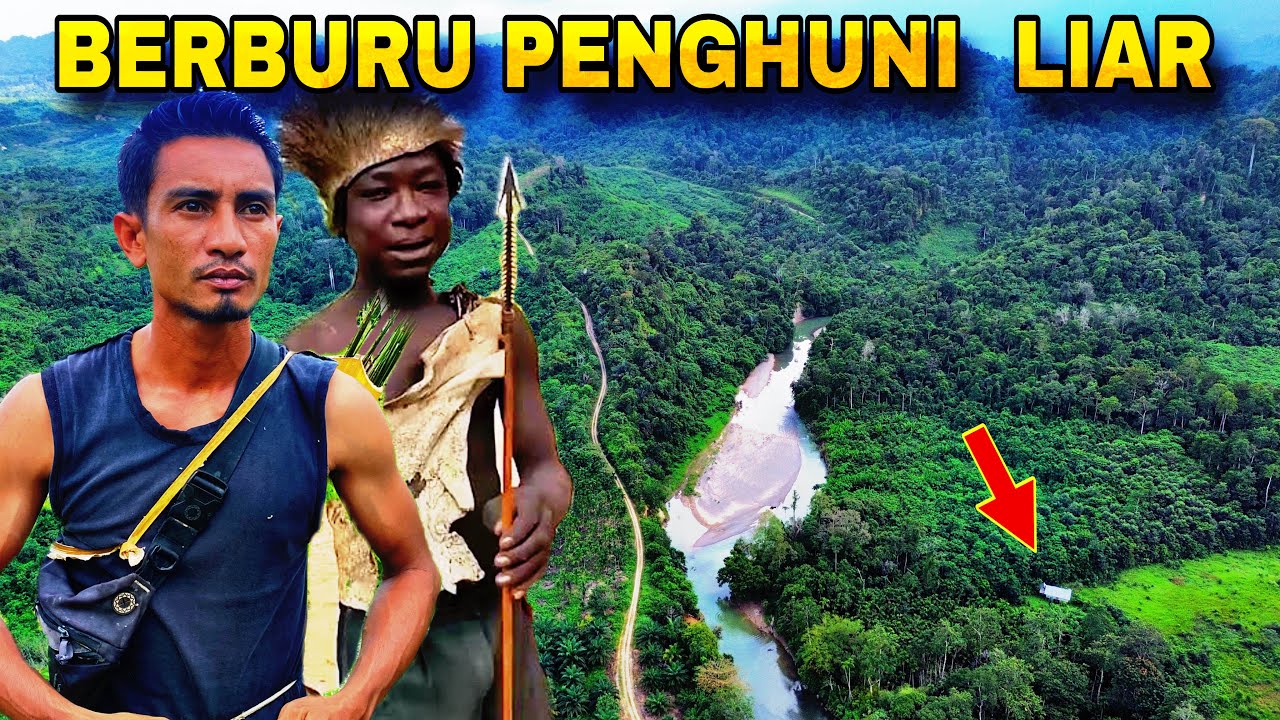 1 HARI MENELUSURI JEJAK PENGHUNI LIAR, MASAK HASIL DI HUTAN, SPESIAL BERSAMA TARZAN HUTAN AFRIKA ❗