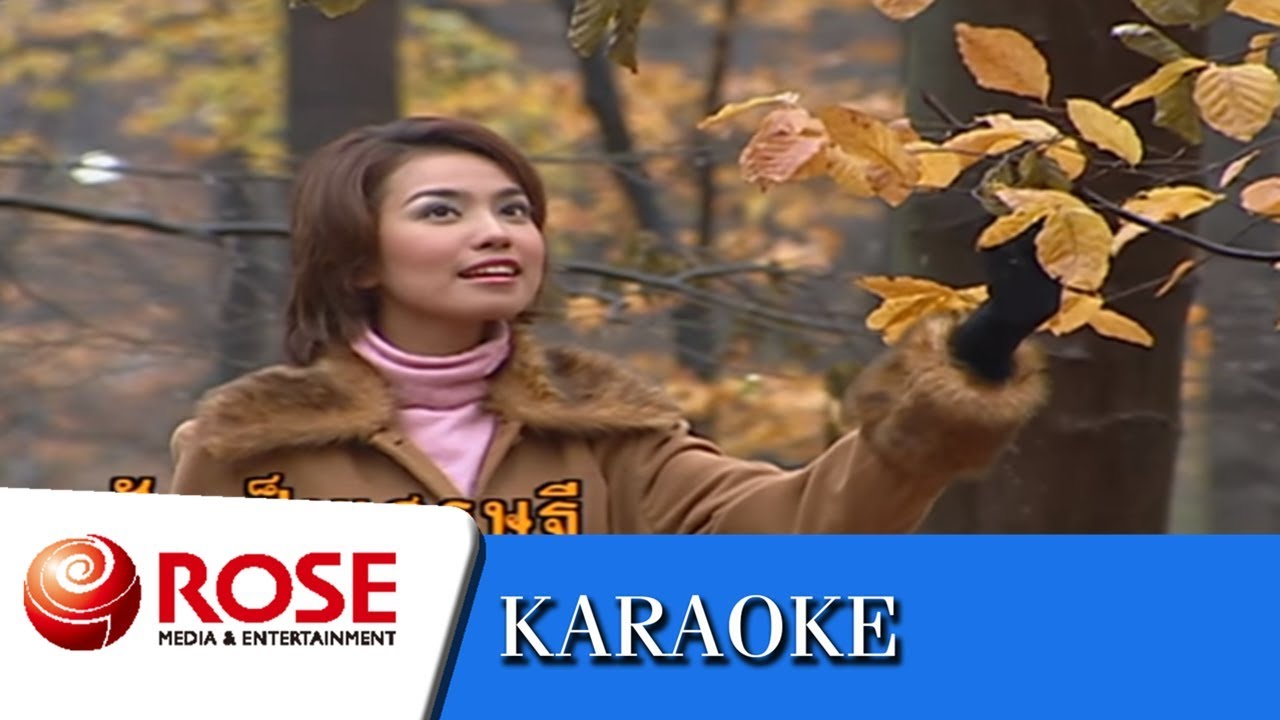 ฝันกลางฤดูฝน - ดาวใจ ไพจิตร  (คาราโอเกะซาวด์ดนตรี)