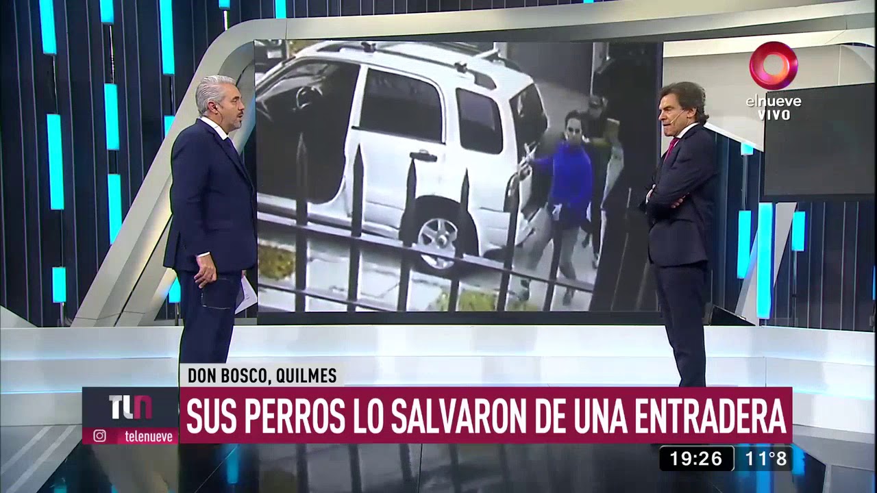Sus perros lo salvaron de una entradera