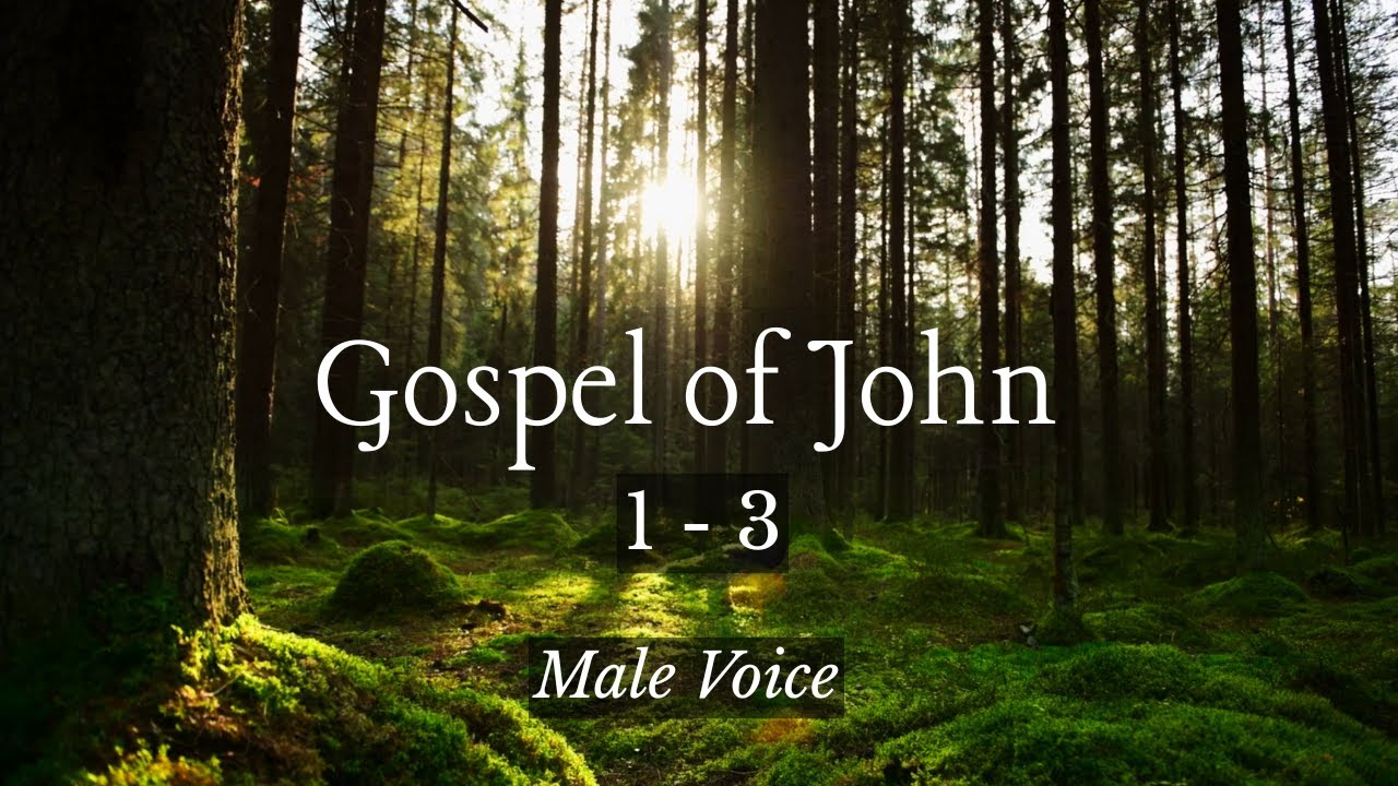 The Gospel of John: Chapters 1, 2, 3 | Male Voice - Bible Audio (WEB) | Remastered