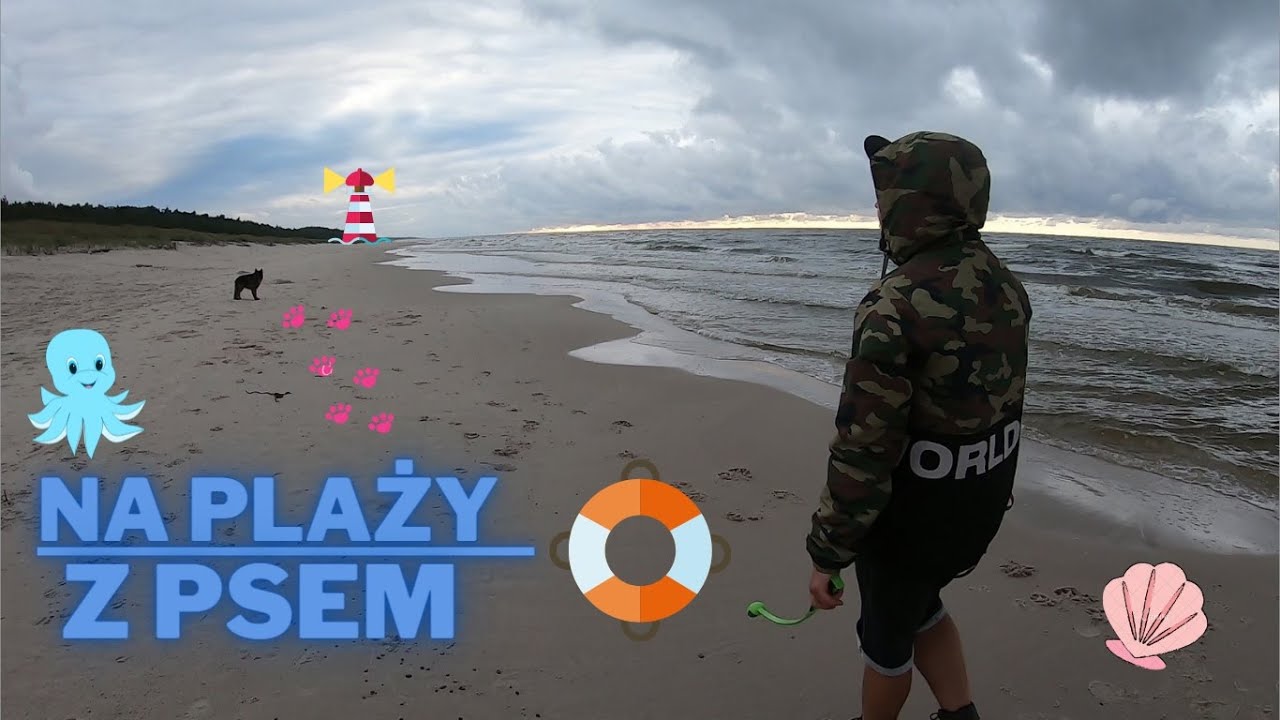 Wyjazd do Lubiatowa z psem. Wakacje nad morzem