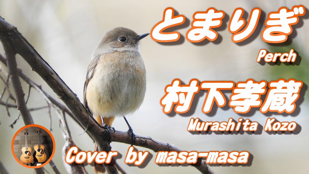 村下孝蔵／とまりぎ (ギター弾き語りカバー by masa-masa) ☆フル/コード/歌詞/Lyrics