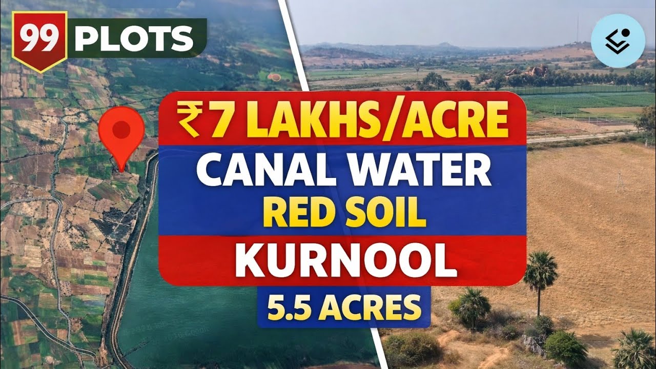 #Kurnool Agriculture Land for Sale | Canal Water | Red Soil | ₹7 Lakhs Acre | 5.5 Acres | 99Plots