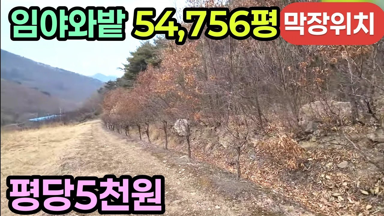 (270번)충북보은 산속임야와밭54,756평  평당5천원 #보은부동산 #보은임야 #충청도임야매매