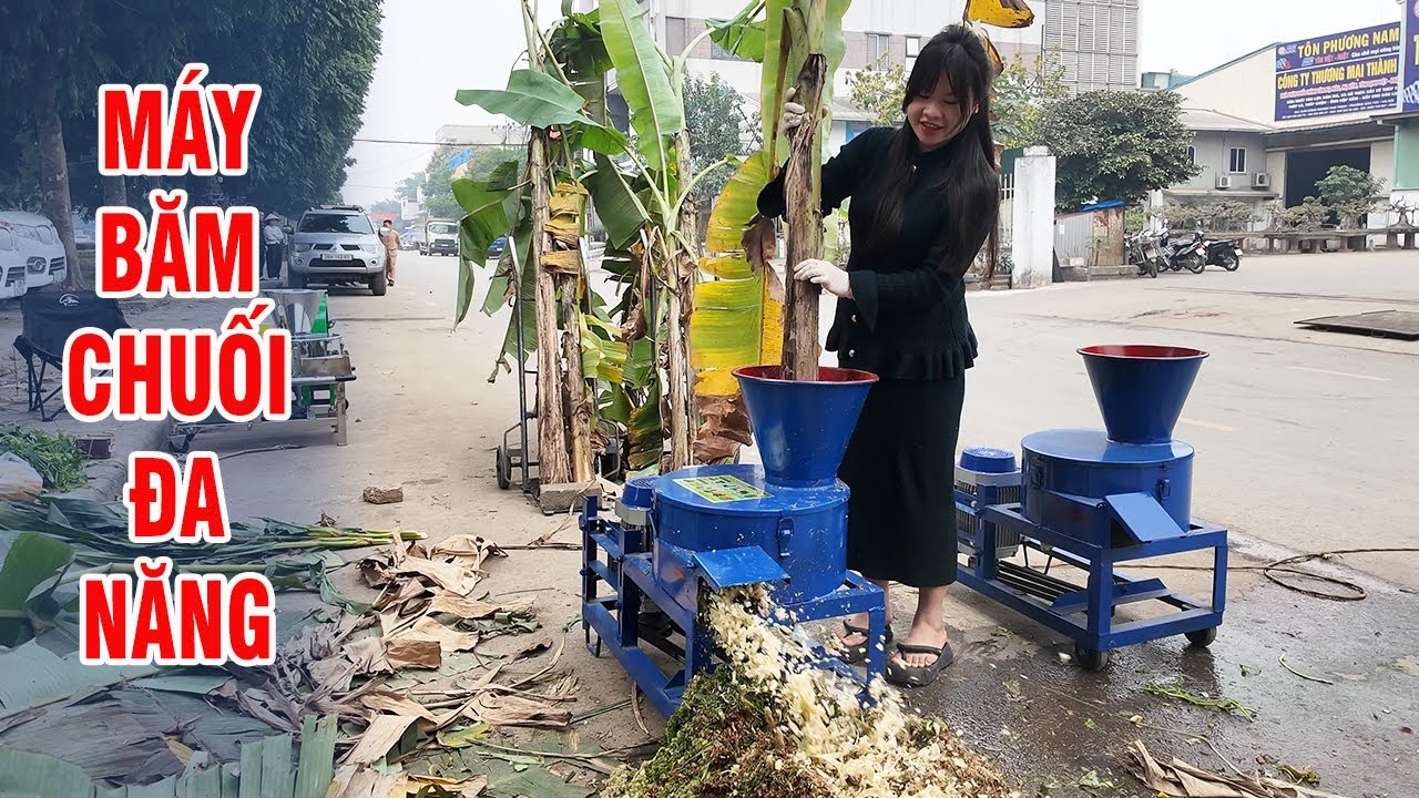 Băm 200 Thân Cây Chuối, Nửa Tấn Cỏ Rau Bèo Mỗi Giờ Làm Việc Với Máy Băm Chuối Đa Năng Bình Quân
