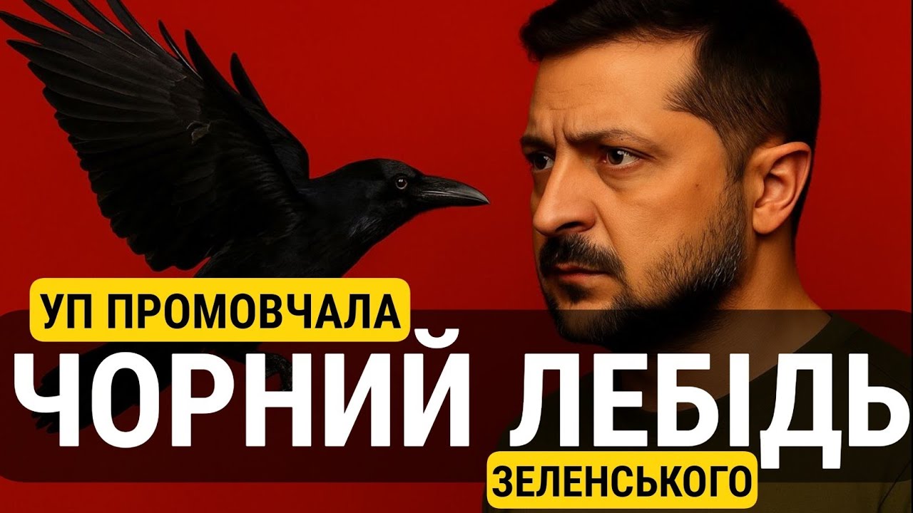 Чорний лебідь Зеленського
