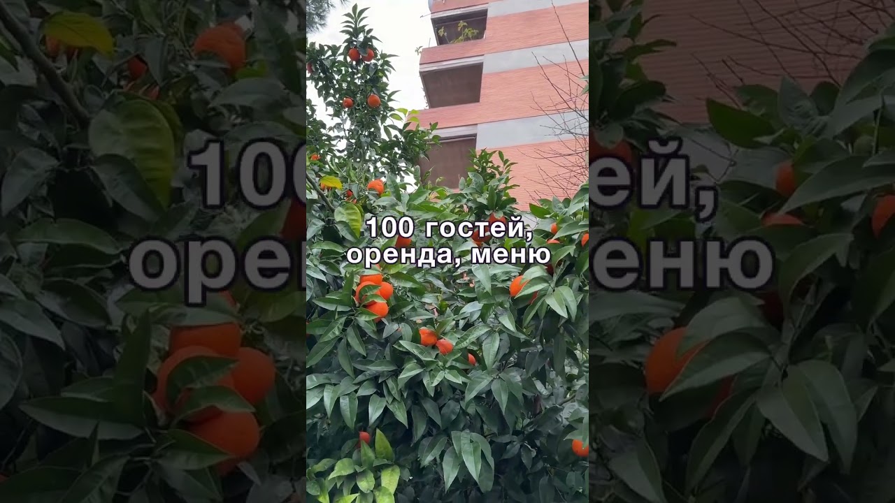 Щоб зробити дочці весілля, мама поїхала на заробітки