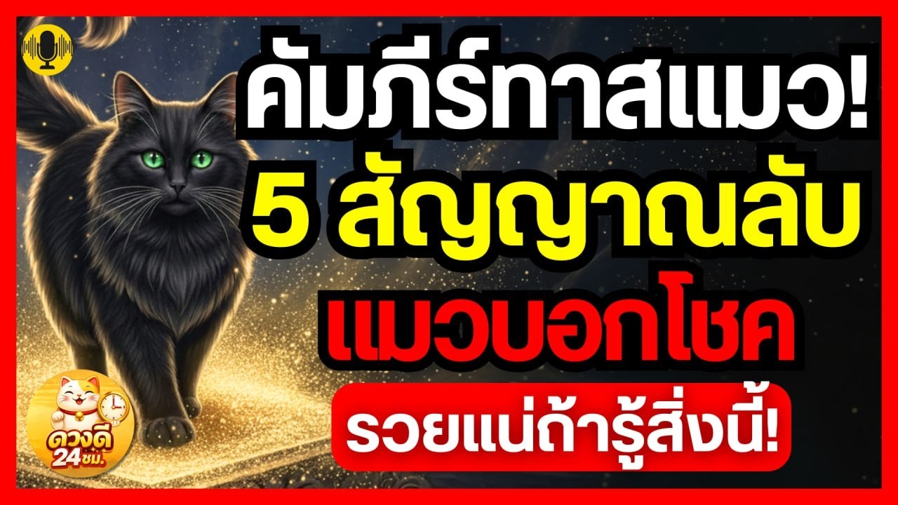 เปิดคัมภีร์ทาสแมว! 5 สัญญาณลับ แมวบอกโชค รวยแน่ถ้ารู้สิ่งนี้!