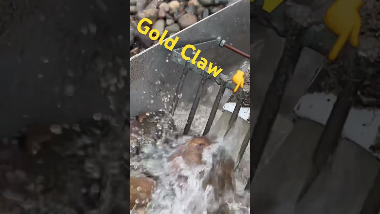 Highbanking big river gravels for Gold✨✨⛏️