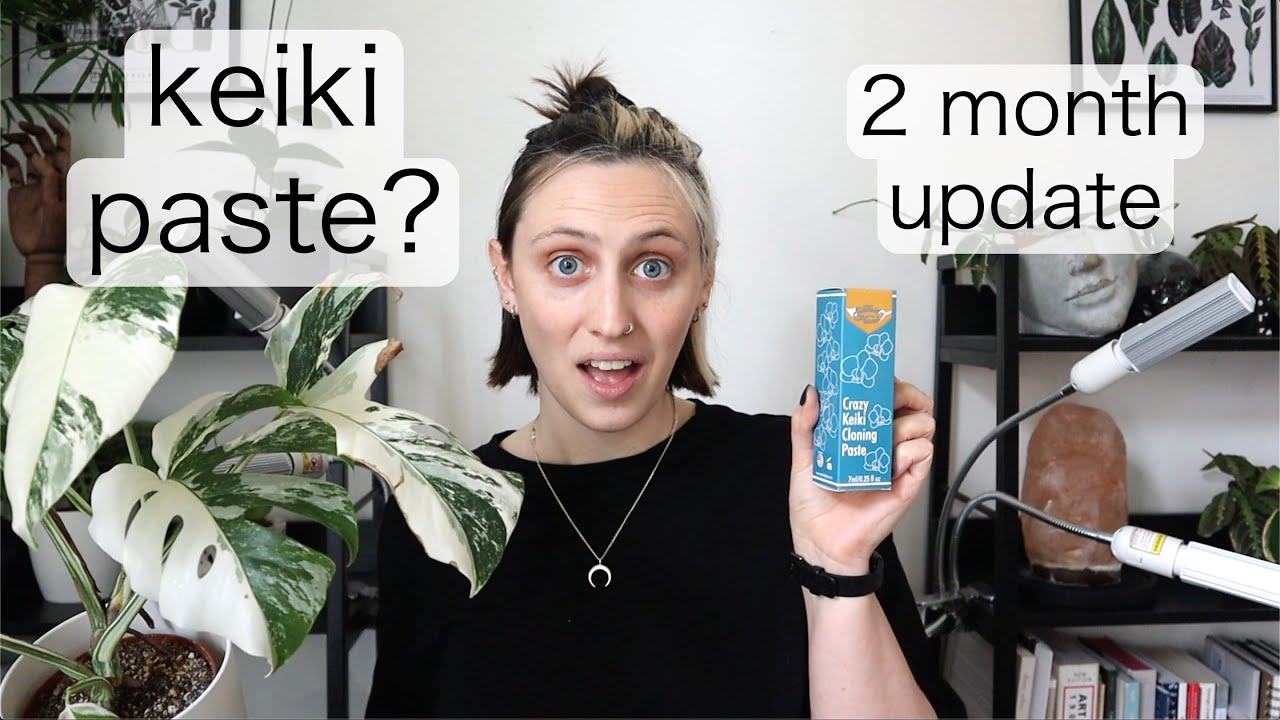 DOES KEIKI PASTE WORK ON AROIDS? | 2 Month Update