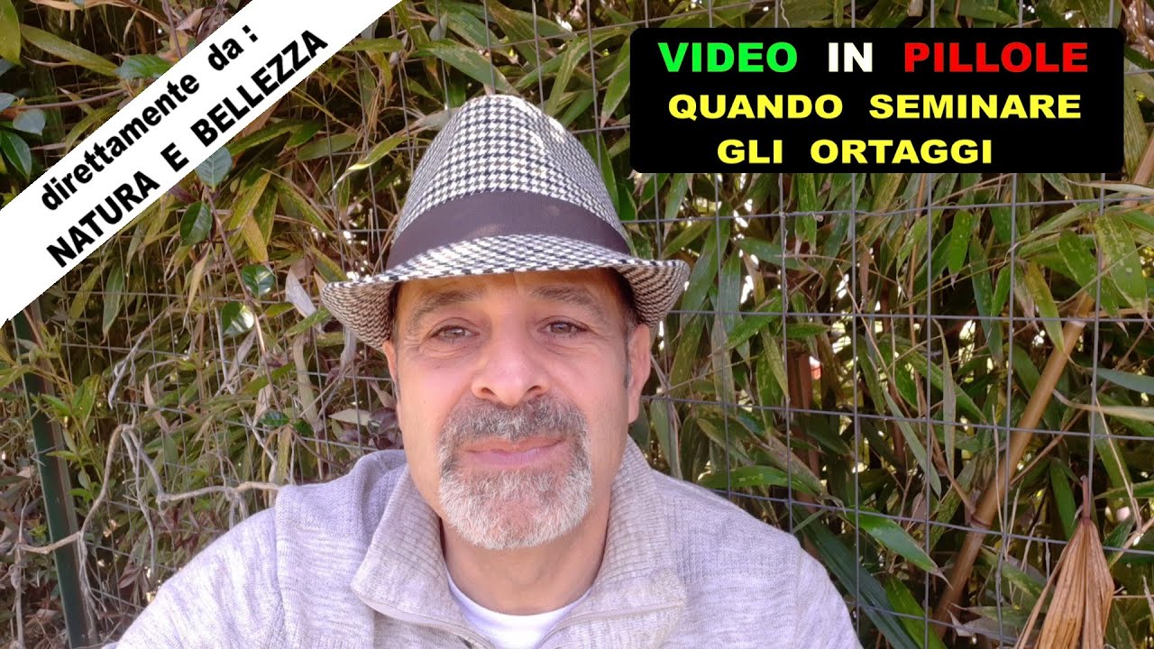 QUANDO SEMINARE GLI ORTAGGI