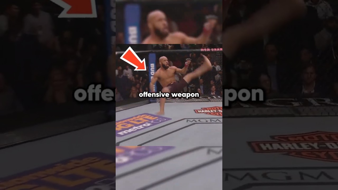 How to ACTUALLY use the clinch #ufc