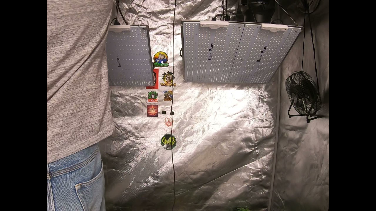 The new xp3000 on left and bp3000 on right