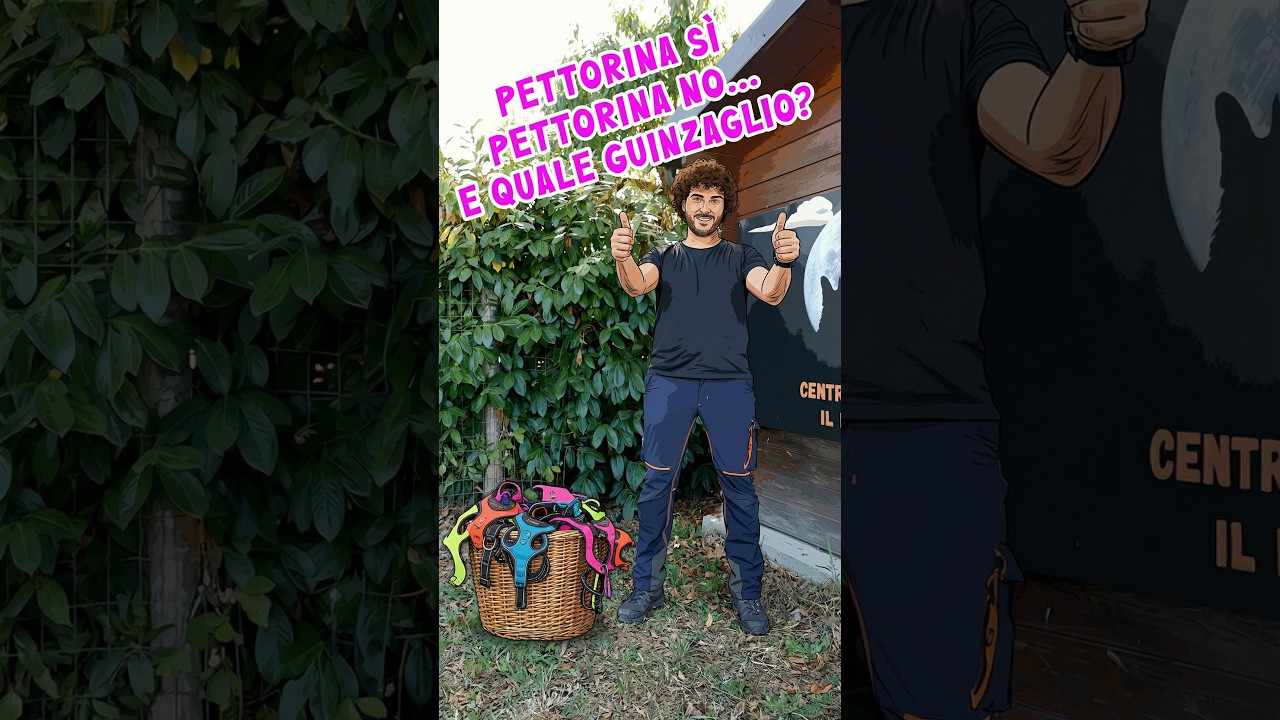 Migliora la vita con il tuo cane al 𝐂𝐞𝐧𝐭𝐫𝐨 𝐂𝐢𝐧𝐨𝐟𝐢𝐥𝐨 𝐈𝐋 𝐋𝐮𝐩𝐞𝐭𝐭𝐨!