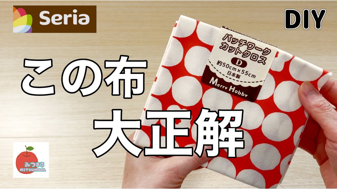 使いやすさ抜群！毎日使いたいポケットいっぱいのトートバッグ！easy diy