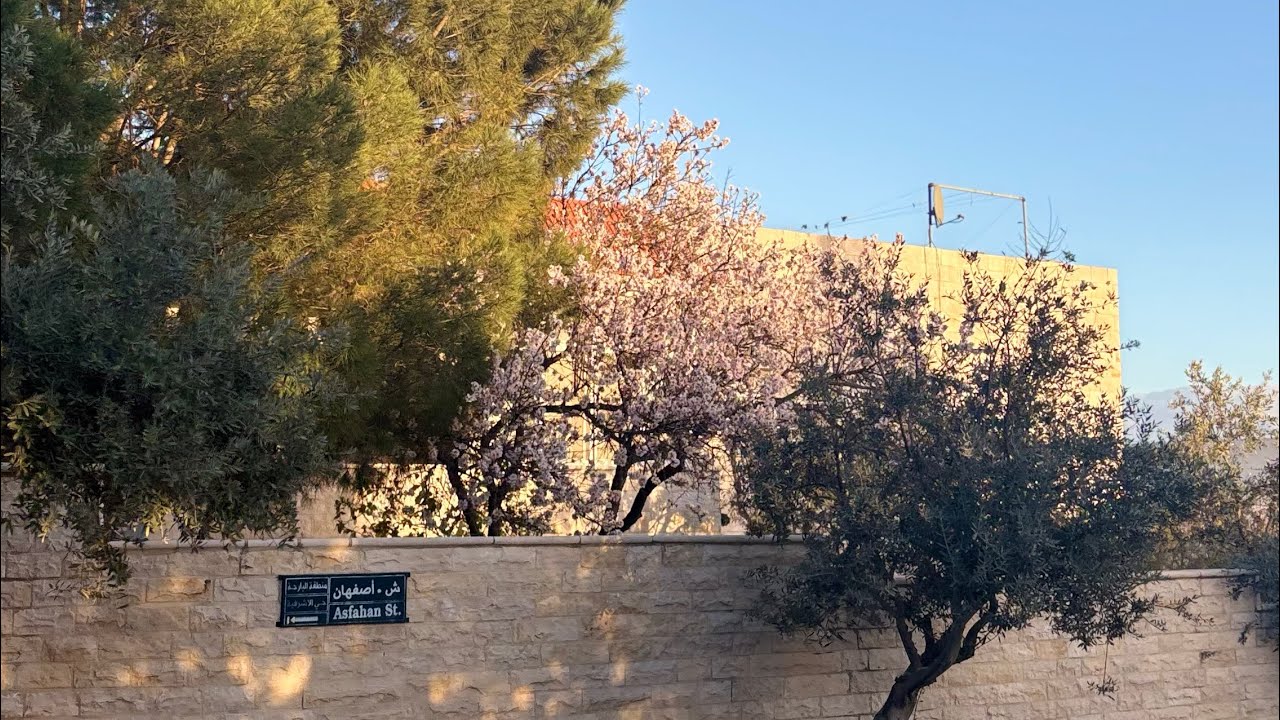  Random exhausting week at uni|فلوق اسبوع عشوائي كطالبة جامعه برمضان 🌙🏫😴