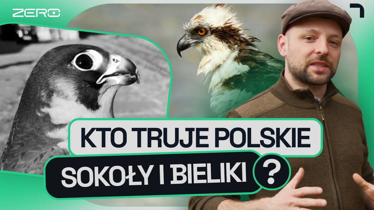 TRAGICZNA HISTORIA SOKOŁÓW Z LUBLINA. KTO ODPOWIADA ZA ICH ŚMIERĆ? | GATUNEK ZERO #14