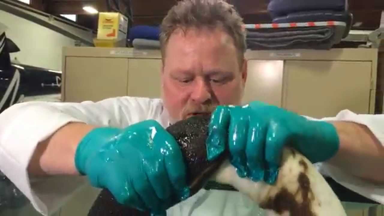 How to compare oil spill kit absorbent and adsorbent material