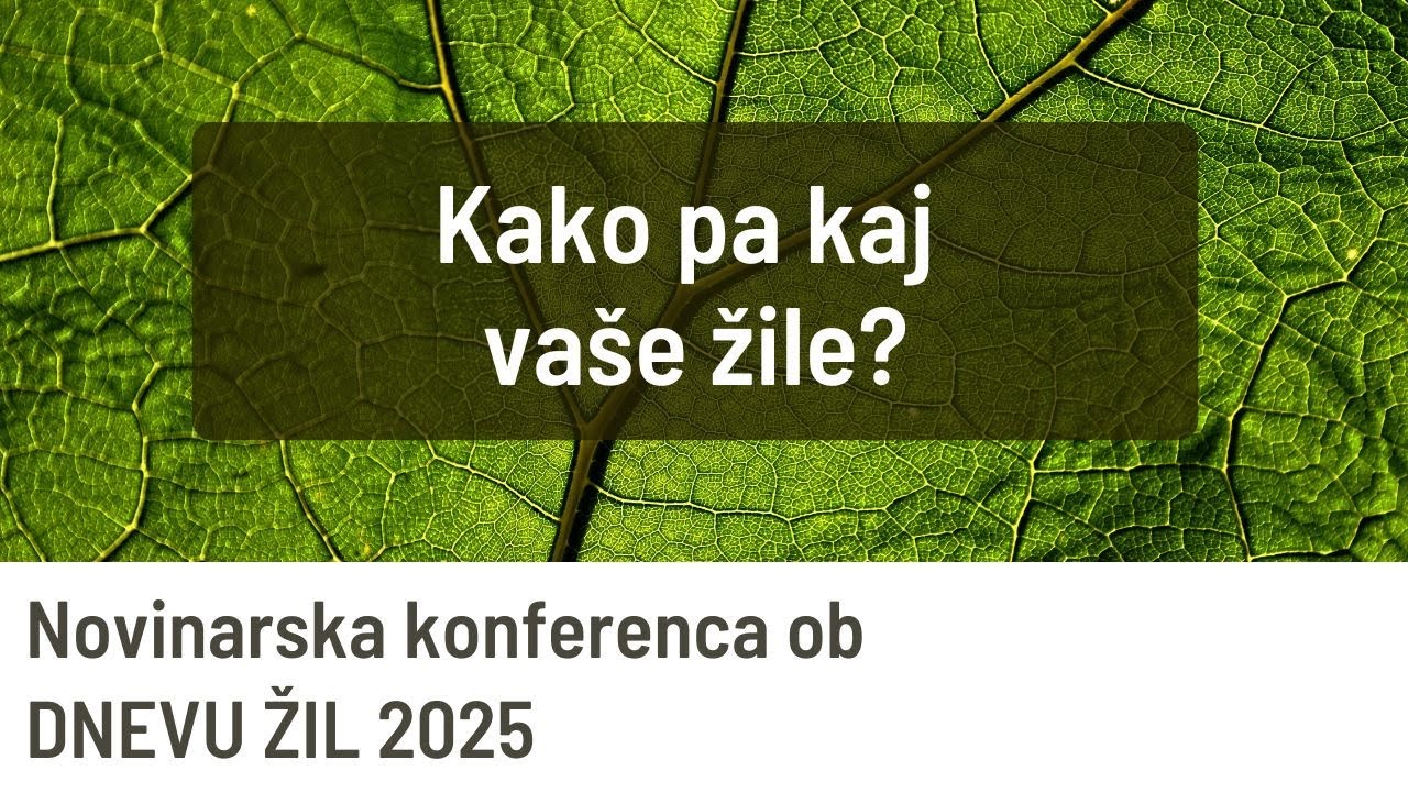 Novinarska konferenca ob Dnevu žil, 2025