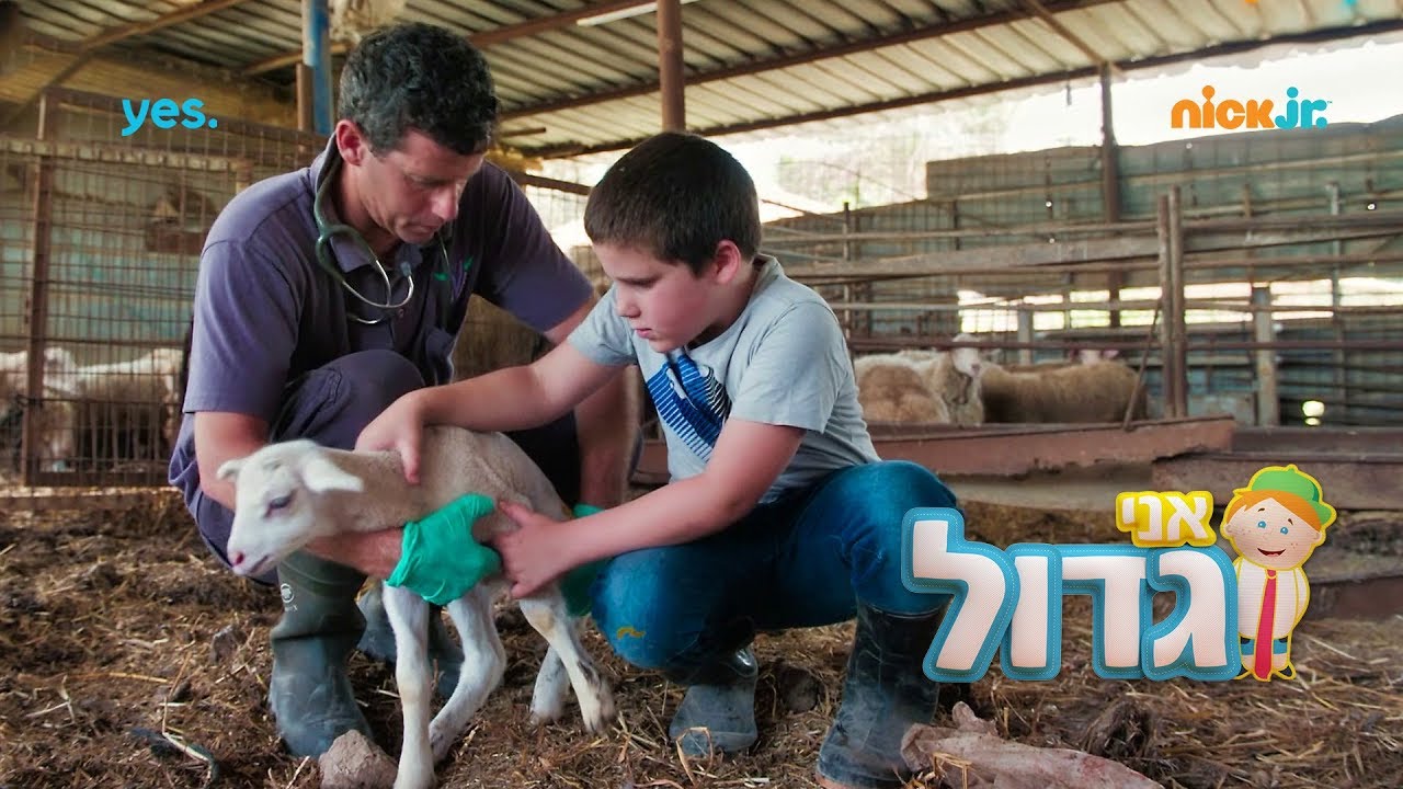 אני גדול 3: מטפלים ברגל של כבשה קטנה 🐑 | ניק ג'וניור