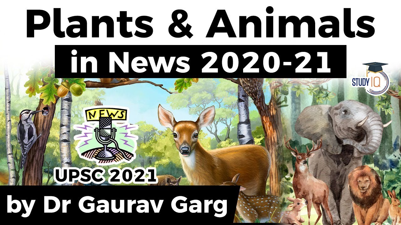 Species in News 2020-21 for UPSC CSE 2021 - Environment and Ecology for UPSC 2021 Prelims exam #IAS