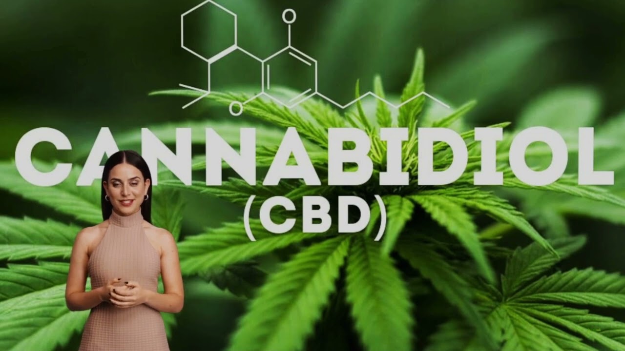 Livraison de CBD &agrave; Lens - La Verte Feuille