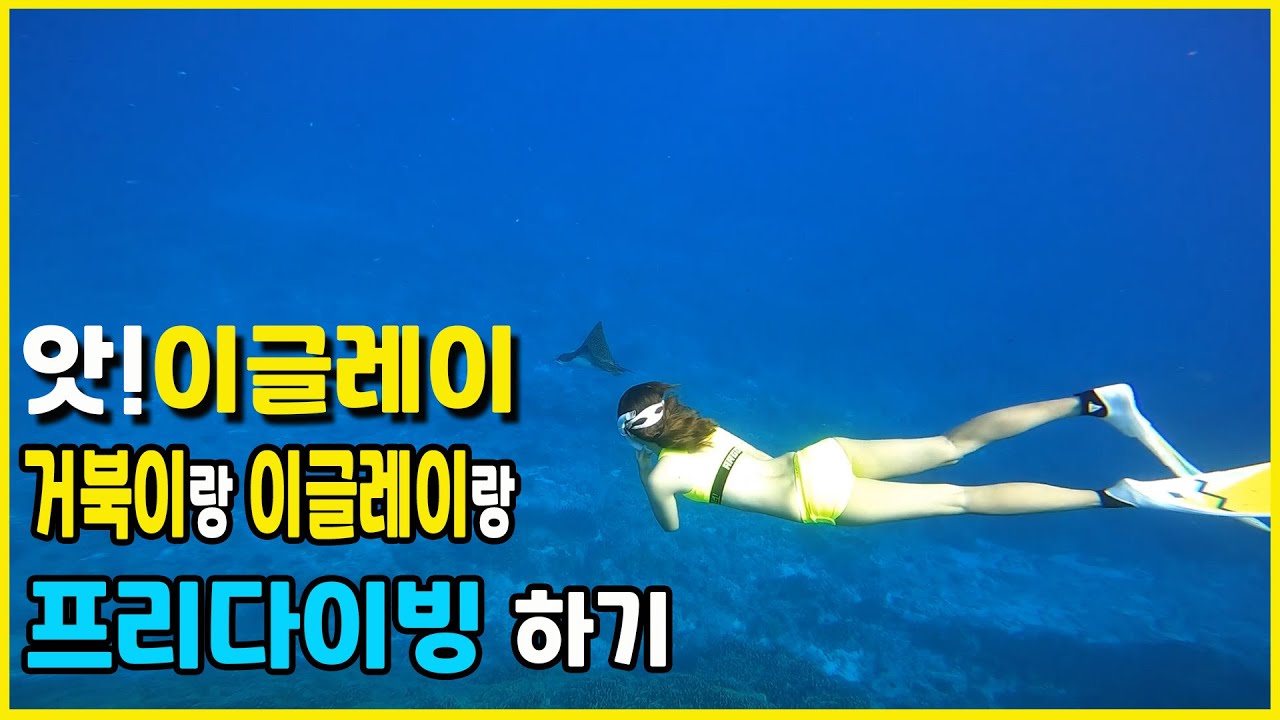 따뜻한 사이판에서 친구랑 프리다이빙하기 딤플 아이스크림 포인트