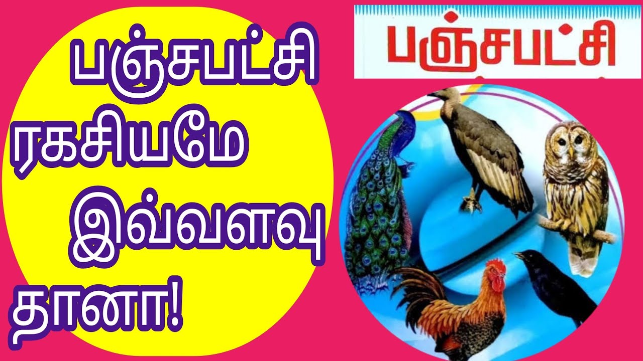 பஞ்சபட்சி ரகசியம்